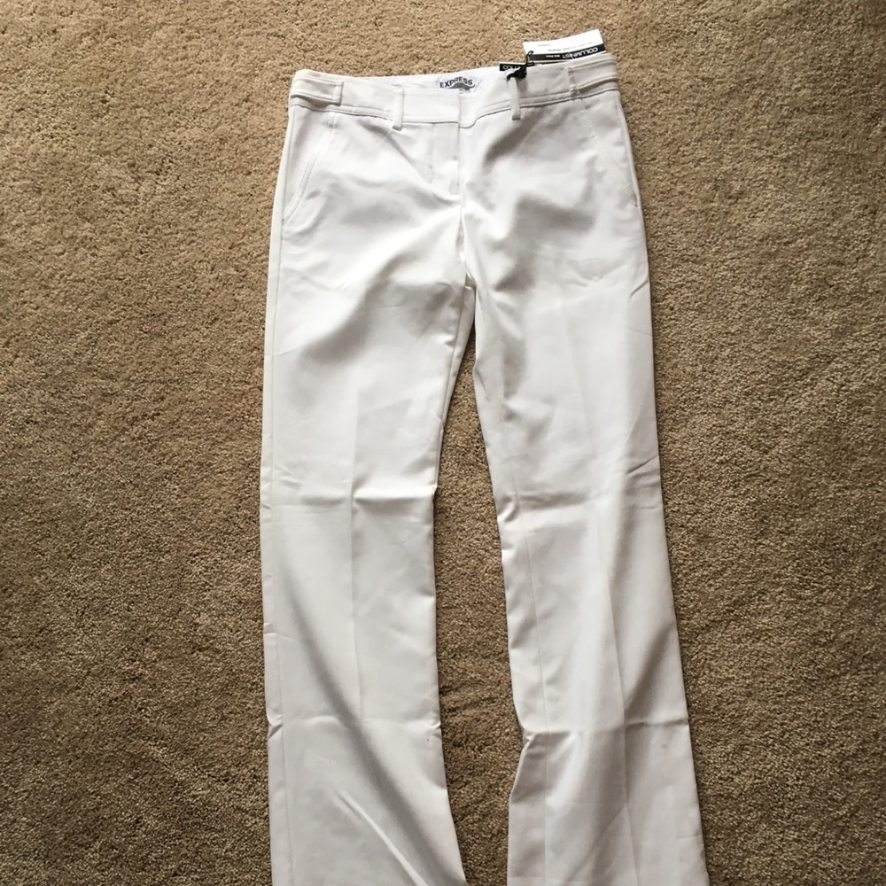 Express dress pants size 2 regular